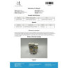 MENTOLAD 50 mg/ml (Trestolonacetat) 10ml Vial | Driada Medical – DriadaShop